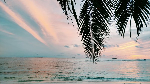 Événements culturels incontournables à découvrir à paris