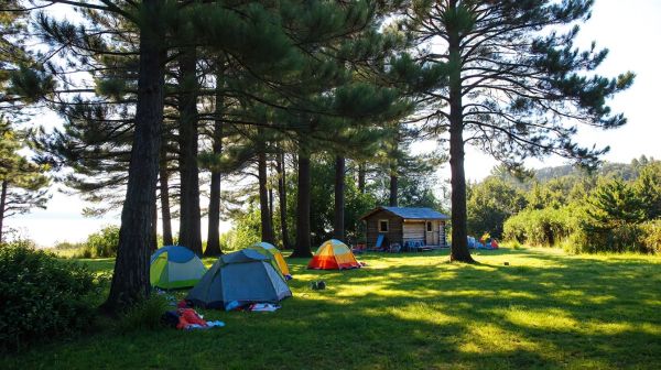 Découvrez pourquoi les campings en charente-maritime sont idéaux