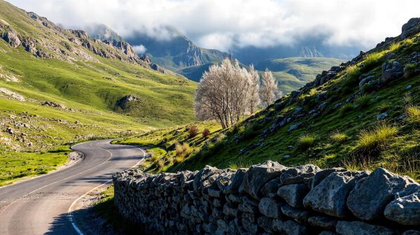 Top 5 routes incontournables du North Coast 500